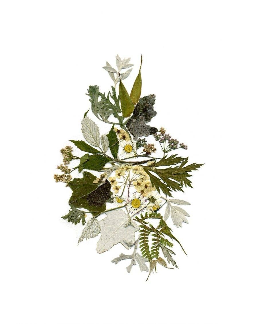 Amazing Wall Art Flowers Metal Trendy Wall Metal Wall Art Flowers With Regard To Most Recent Botanical Metal Wall Art (View 13 of 25)