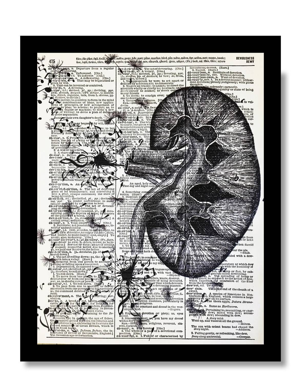 Anatomical Print Kidney Art Print Medical Art Kidney Regarding Recent Medical Wall Art (View 6 of 20)