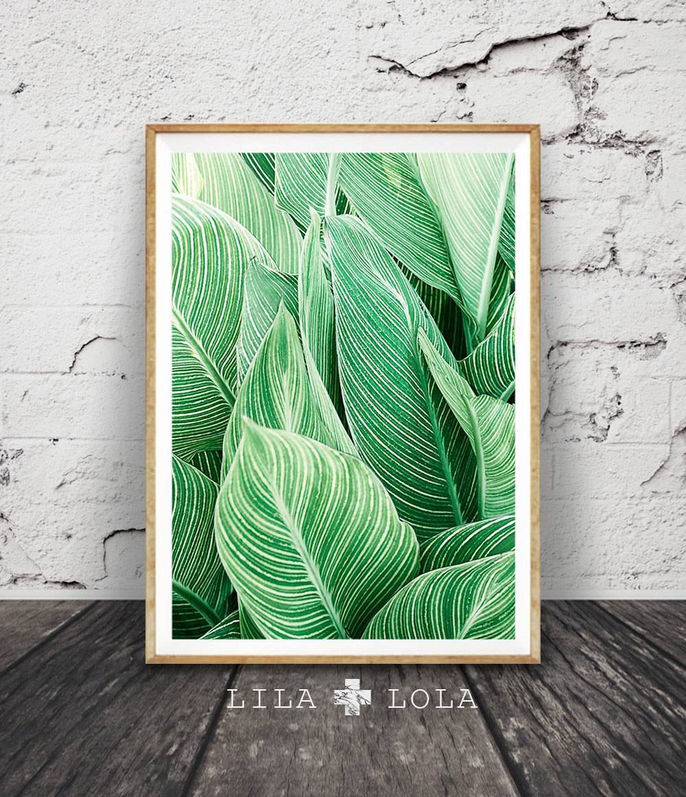 Featured Photo of 20 Collection of Large Green Wall Art