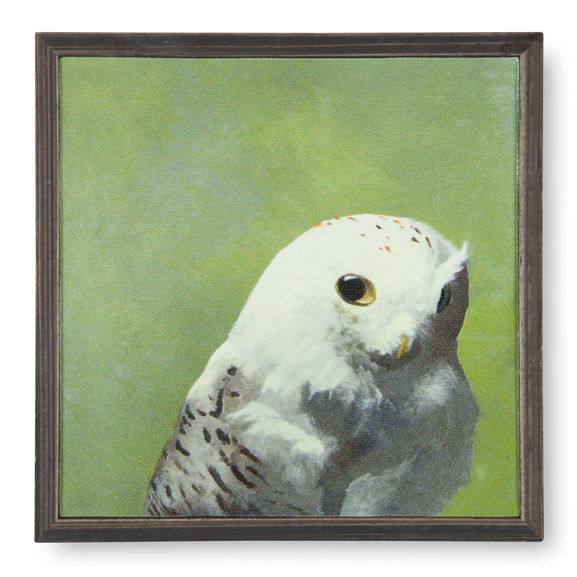 Secret Owl Mini Framed Canvas Wall Art | Sturbridge Yankee Workshop For Most Popular Owl Framed Wall Art (View 18 of 20)