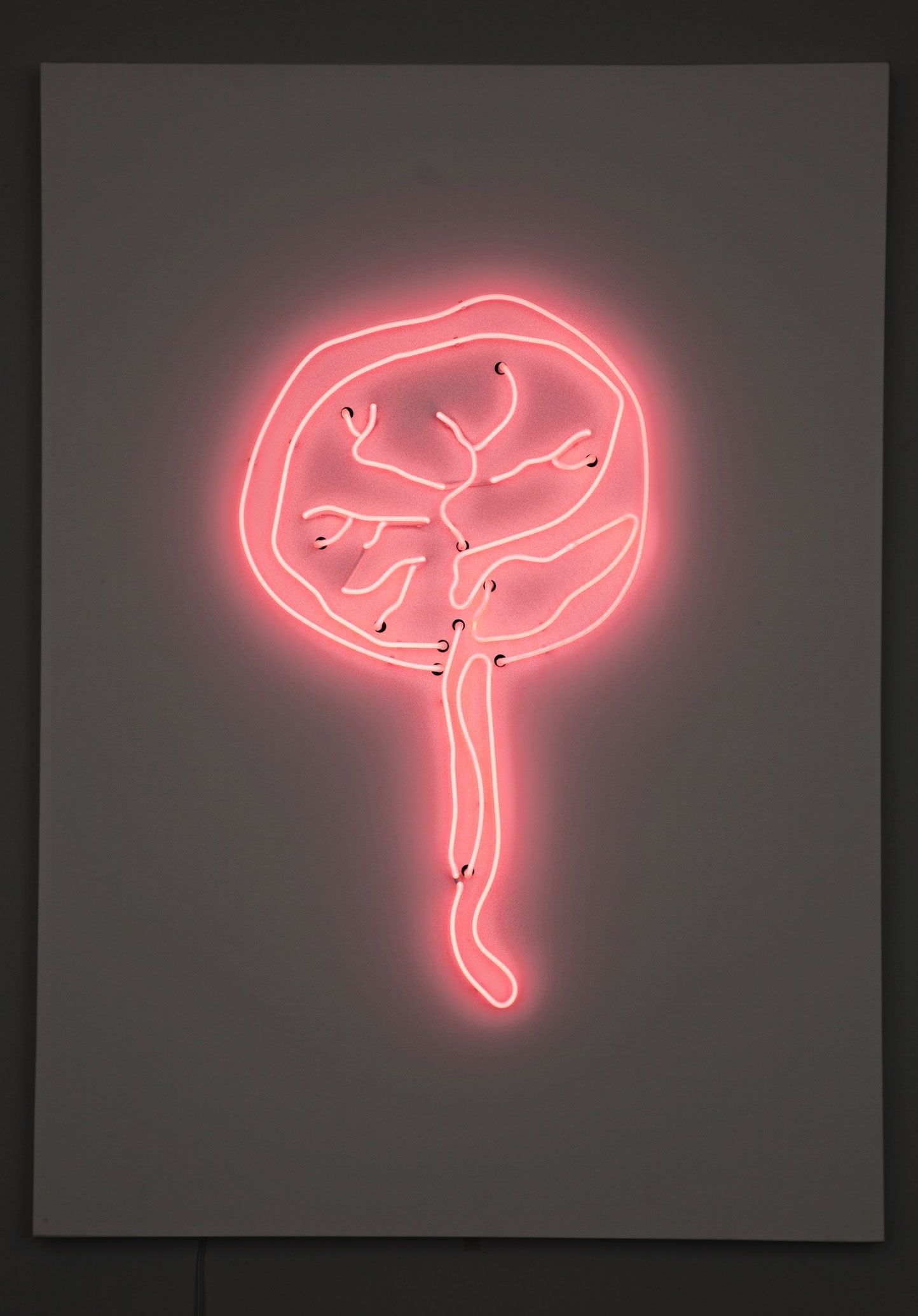 Present Life Art | Zoe Buckman Inside Best And Newest Abstract Neon Wall Art (View 2 of 20)