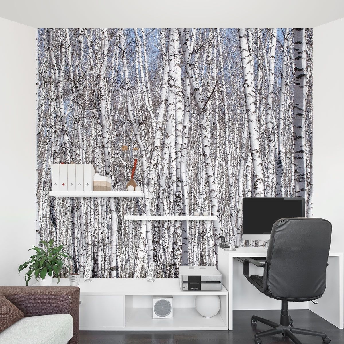 Birch Trees Wall Mural Pertaining To Recent Murals Wall Accents (View 1 of 15)