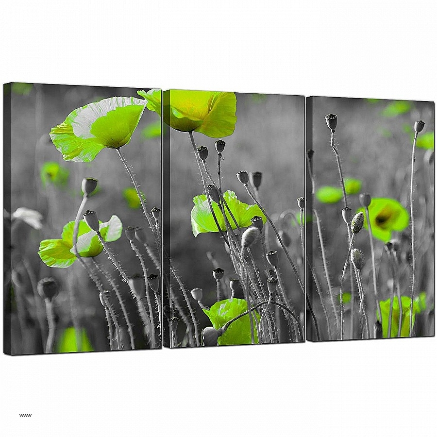 Poppy Wall Art Metal New Creative Idea Lime Green Wall Art Metal With Most Current Lime Green Canvas Wall Art (Gallery 1 of 15)