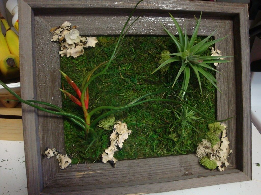 Living Wall Art: 3 Steps (with Pictures) Within Most Recent Living Wall Art (Gallery 1 of 20)