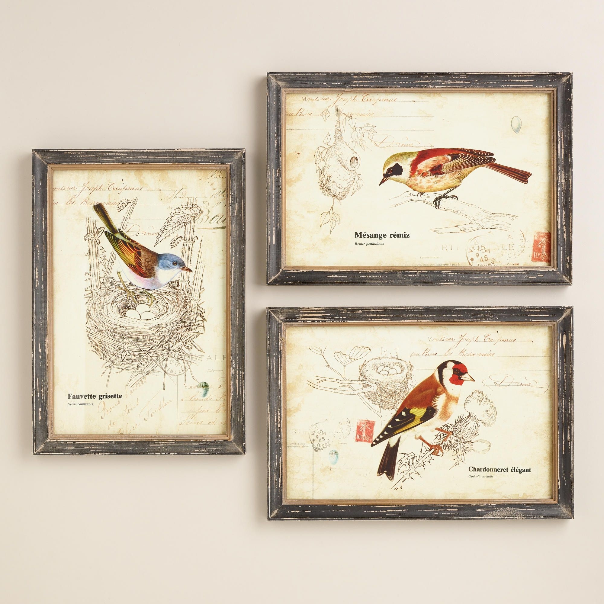 Nature Birds Wall Art, Set Of 3 | World Market | For The Home Inside Recent World Market Wall Art (Gallery 1 of 20)