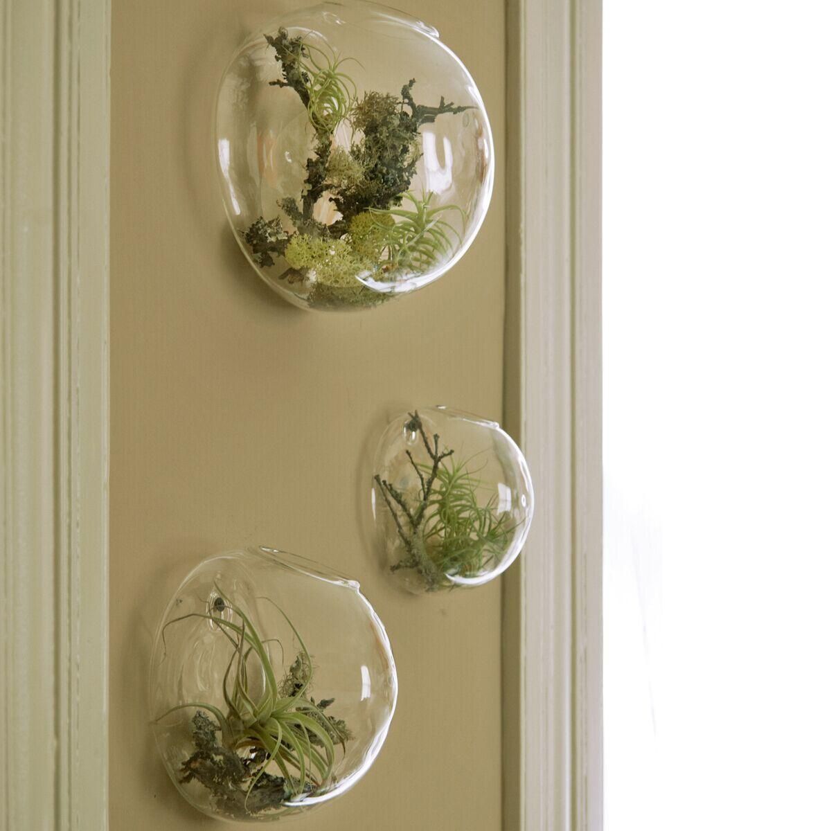 Wall Bubble Terrariums Glass Wall Vase For Flowers/indoor Plants With Well Liked Vase And Bowl Wall Decor (View 1 of 20)