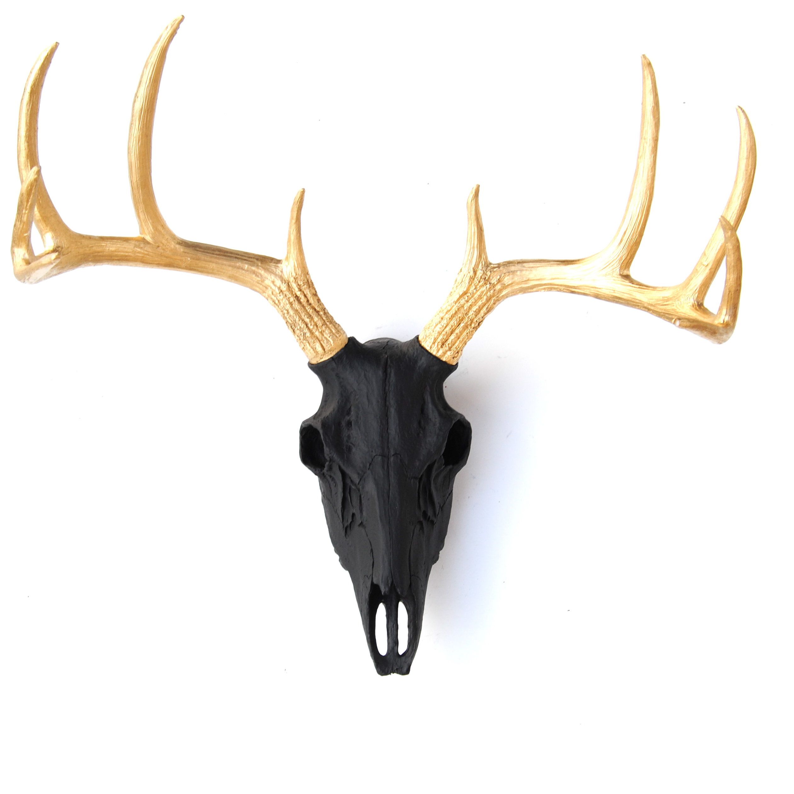 Near And Deer Faux Taxidermy Buck Skull Wall Décor (View 16 of 20)