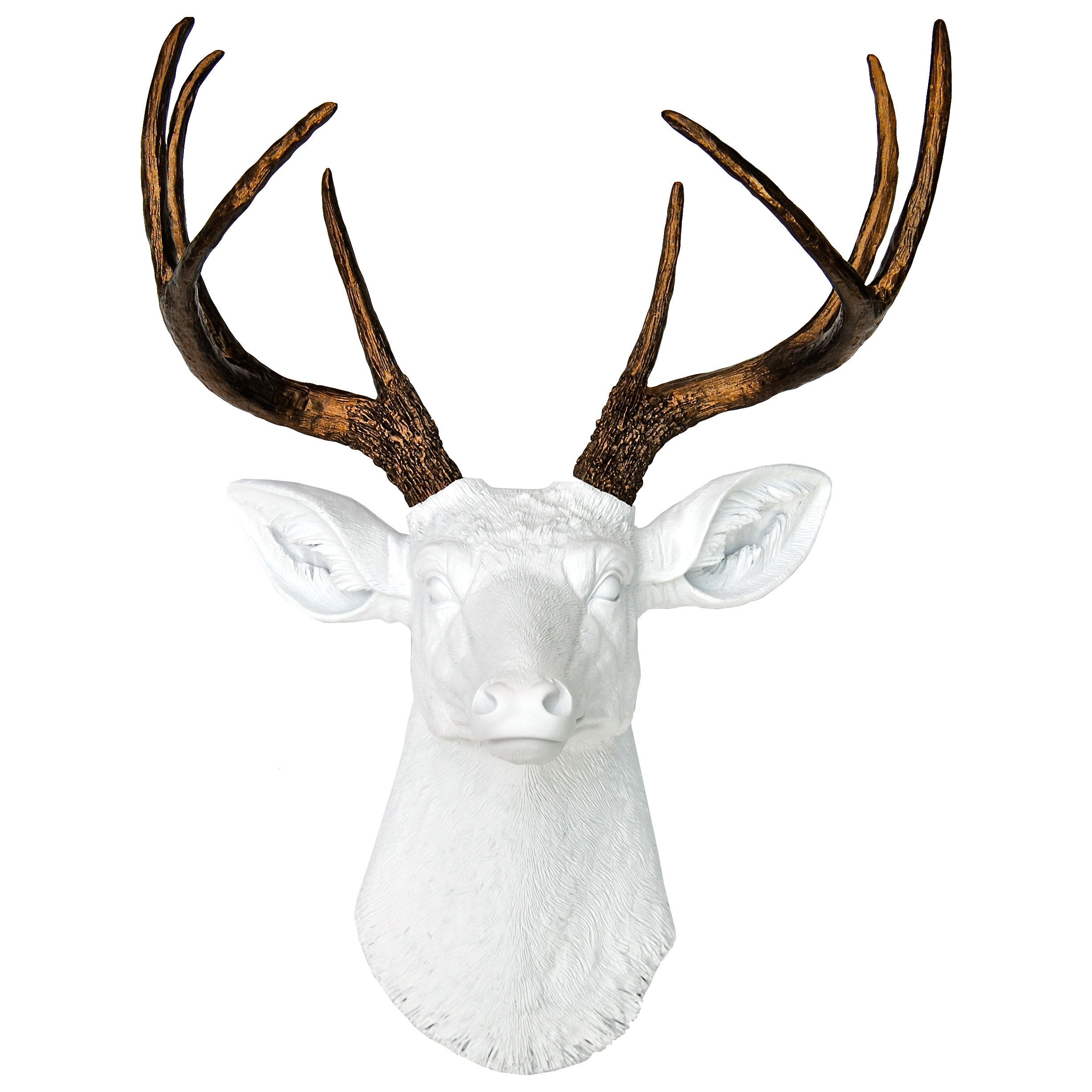Newest Atlantis Faux Taxidermy Wall Decor Throughout Near And Deer Atlantis Faux Taxidermy Wall Décor & Reviews (View 1 of 20)
