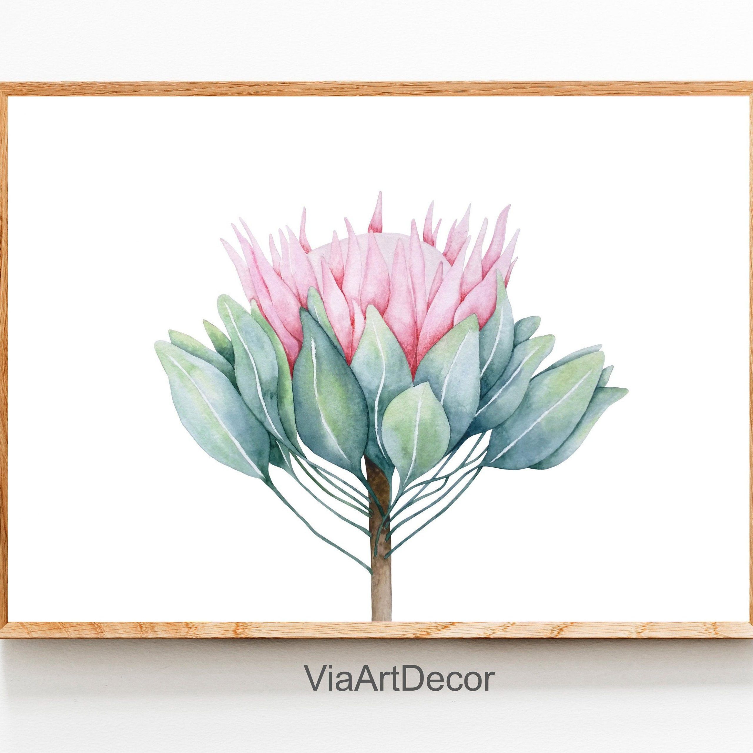 King Protea Print Watercolor Wall Art Pink Flower Modern Pertaining To 2017 Blended Fabric Fruity Bouquets Wall Hangings (View 19 of 20)