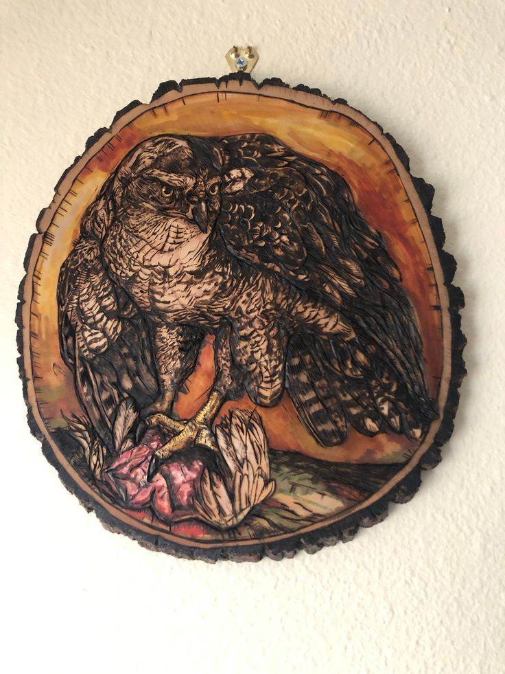 Bird Wall Art Wood Slice Art Goshawk Falcon Falconry Art Within Most Recently Released Nature Wood Wall Art (View 12 of 20)