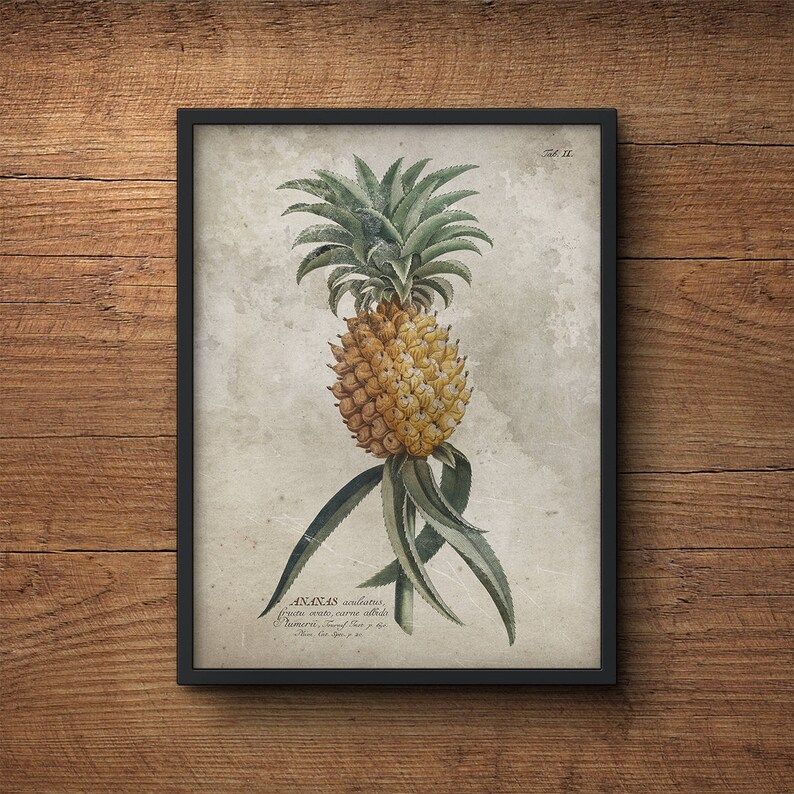Botanical Print Set Of 3 Framed Art Tropical Prints Palm Pertaining To Most Current Tropical Framed Art Prints (View 4 of 20)