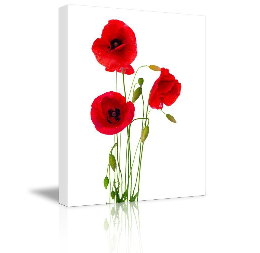 Canvas Prints Wall Art – Red Poppy Flowers Against White With Regard To Most Up To Date Flowers Wall Art (View 12 of 20)