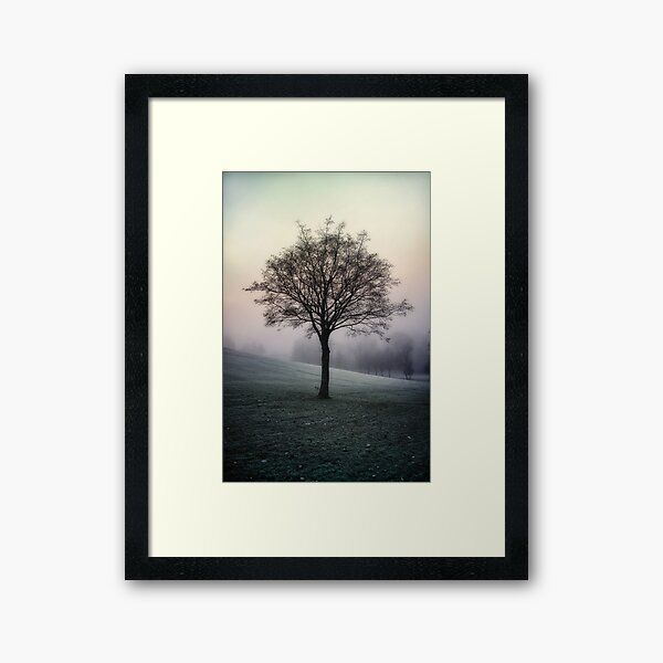 Clydebank Framed Prints | Redbubble For Latest Dragon Tree Framed Art Prints (View 6 of 20)