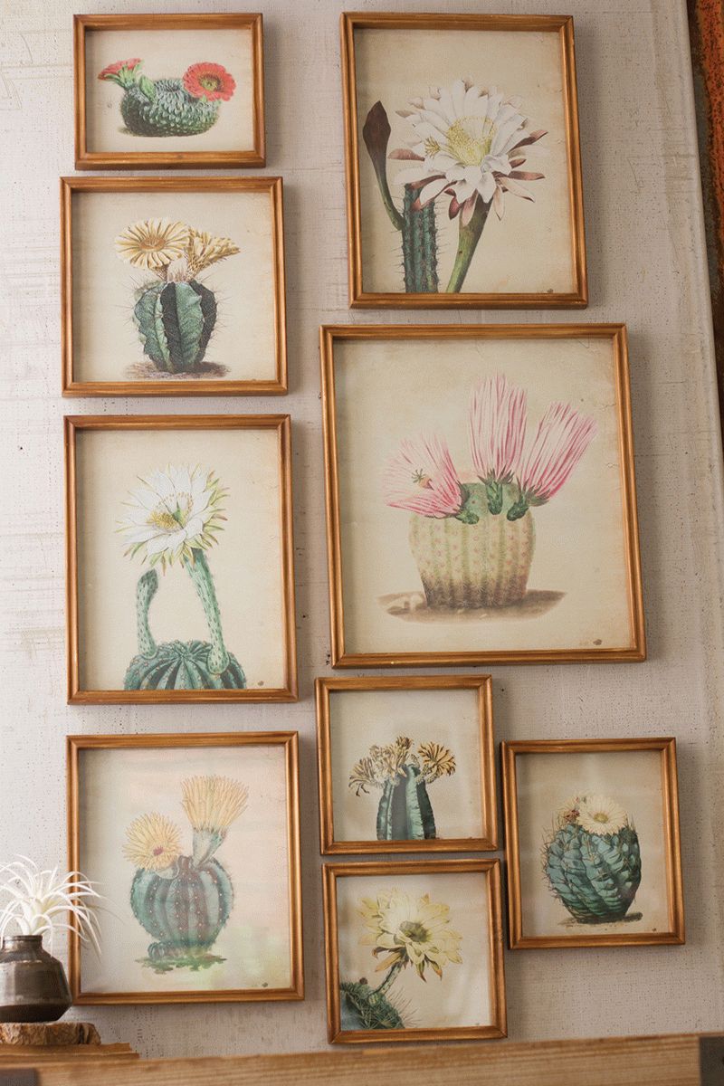 Desert Flowers Framed Prints – Set Of 9 Within Latest Desert Inn Framed Art Prints (View 17 of 20)