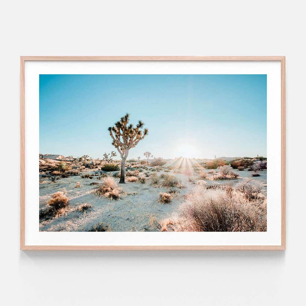 Desert Sunburst | Framed Print Or Canvas Wall Art | 41 Orchard Throughout Newest Desert Inn Framed Art Prints (View 7 of 20)