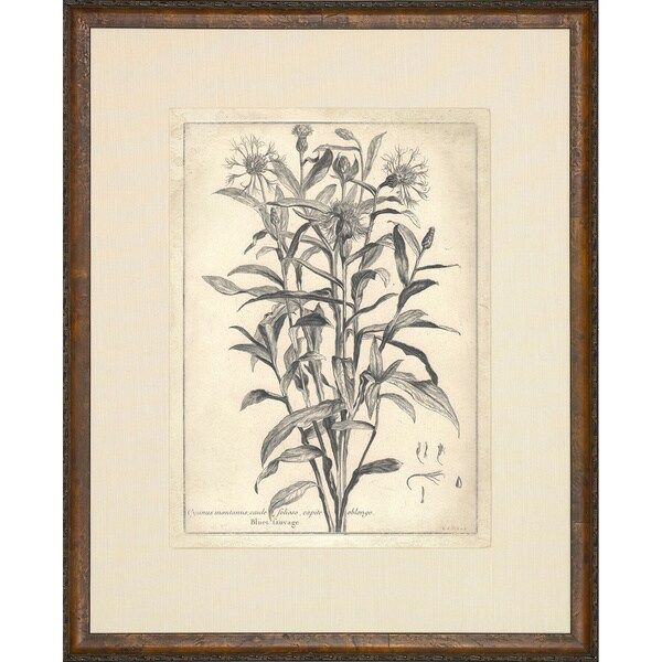 'etched Floral' Brown Framed Vintage Art Print – Overstock In Newest Flower Framed Art Prints (View 10 of 20)
