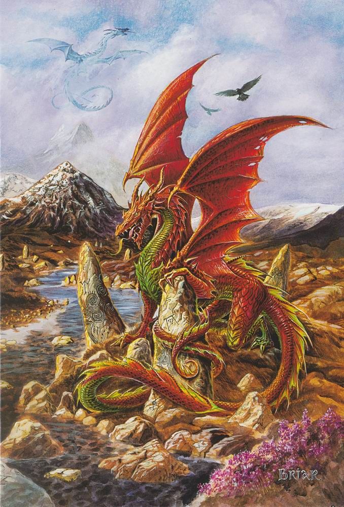 "fire Dragon" Art Cardbriar | Dragonrat Jewellery Intended For 2017 Dragon Tree Framed Art Prints (View 20 of 20)