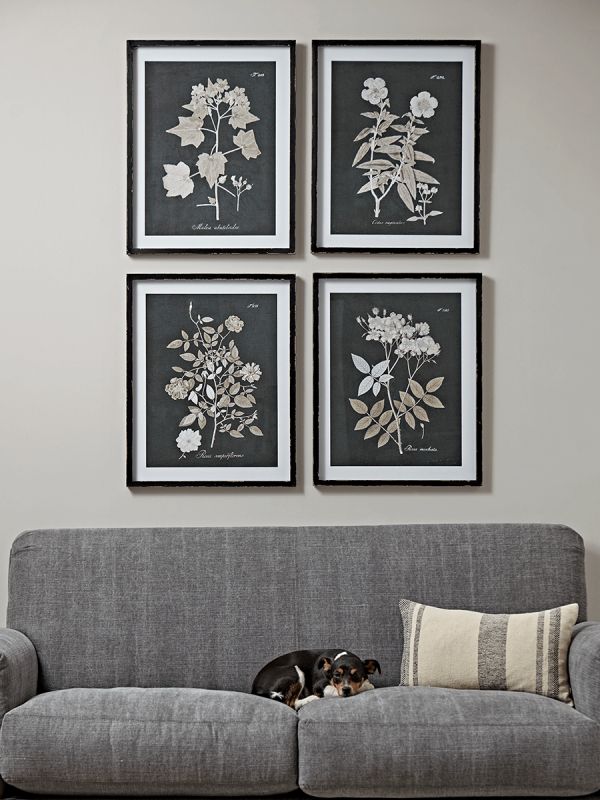 Four Monochrome Botanical Framed Prints Pertaining To Most Current Sunshine Framed Art Prints (View 7 of 20)