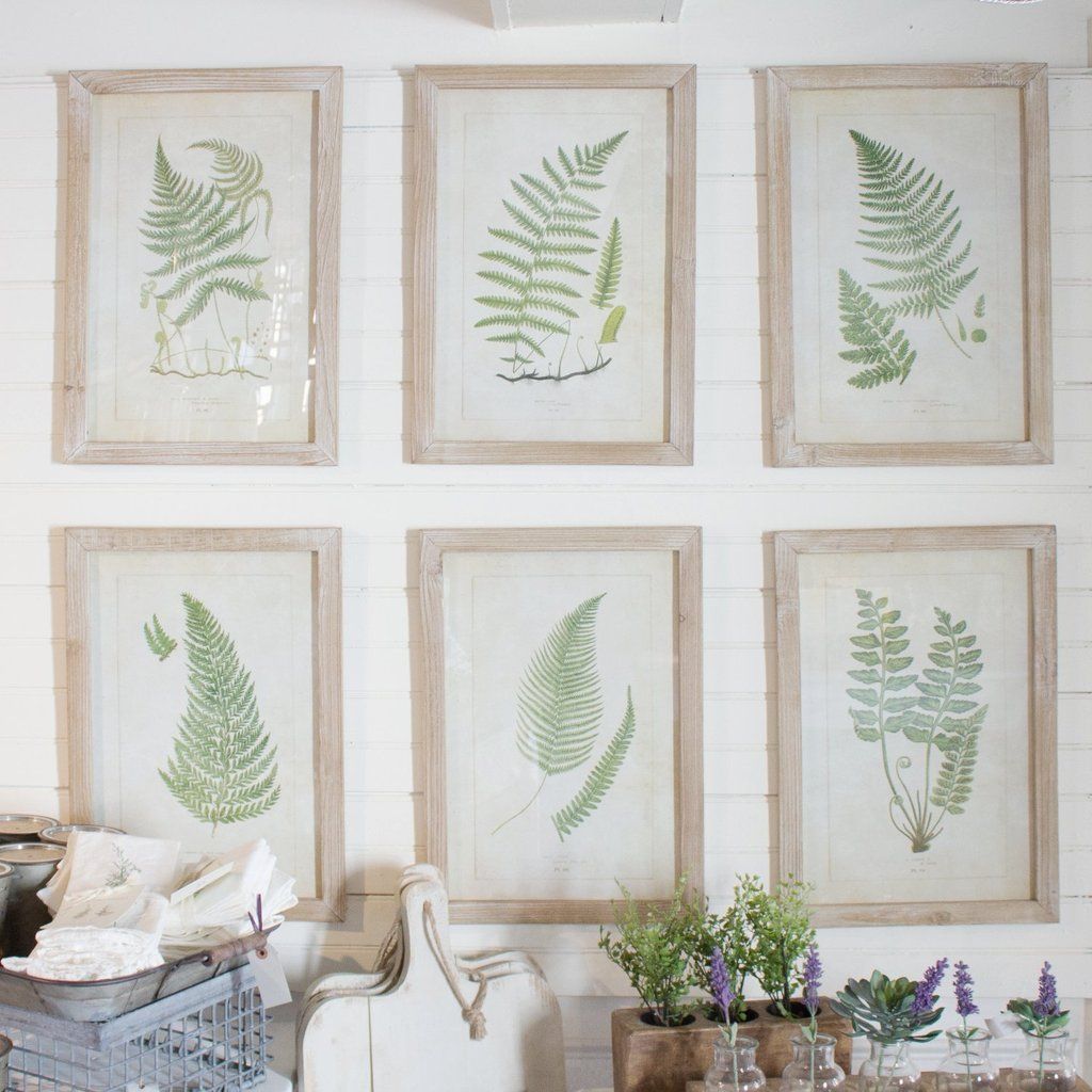 Green Fern Botanical Prints With Rustic Frame Set Of 6 Pertaining To Current Natural Framed Art Prints (View 7 of 20)