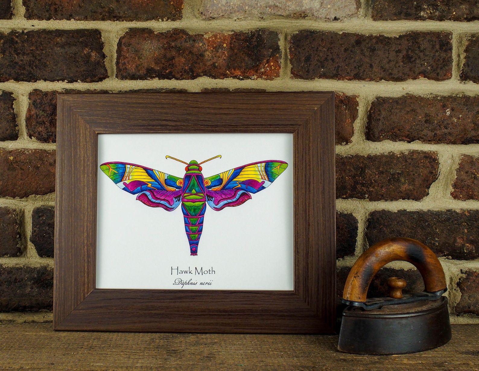 Hawk Moth Wall Art Print Sphinx Moth Wall Art Oleander Pertaining To Current Spinx Wall Art (View 7 of 20)