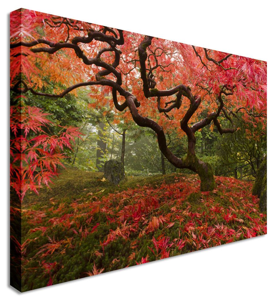 Large Abstract Rustic Landscape Canvas Wall Art Pictures Regarding Most Recently Released Landscape Wall Art (View 19 of 20)