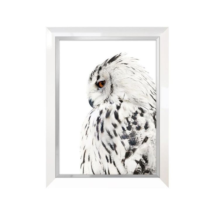 Large Owl | Framed Prints, Lovers Art, White Frame Intended For 2017 The Owl Framed Art Prints (View 17 of 20)
