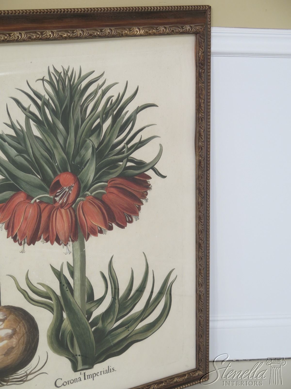 Lf31570ec: Pair Large Framed Botanical Decorative Art For Most Current Colorful Framed Art Prints (View 5 of 20)