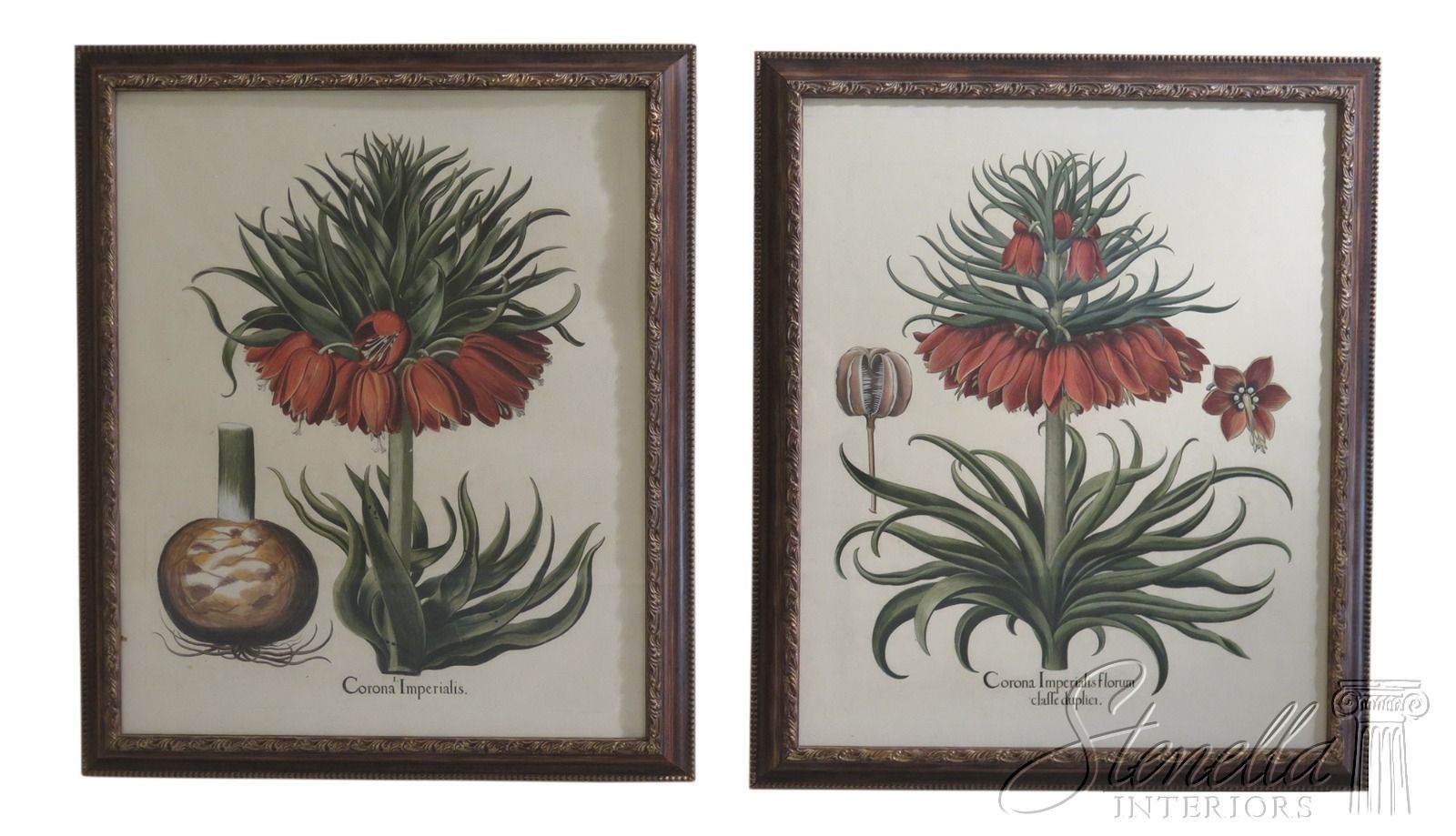 Lf31570ec: Pair Large Framed Botanical Decorative Art Within Most Popular Colorful Framed Art Prints (View 4 of 20)
