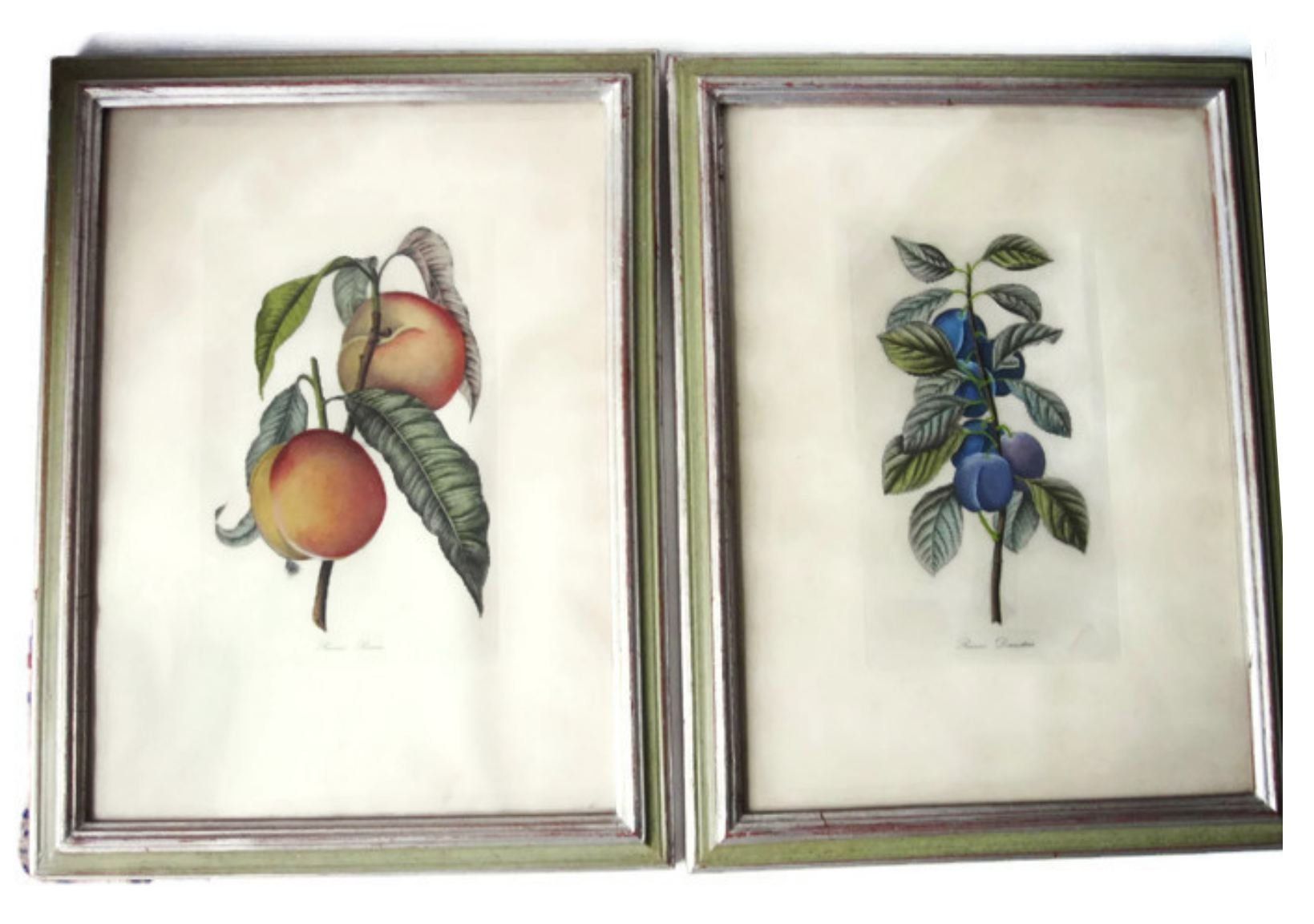 Pair Botanical Framed Lithographs/two Antique Italian For Most Recently Released Italy Framed Art Prints (View 5 of 20)