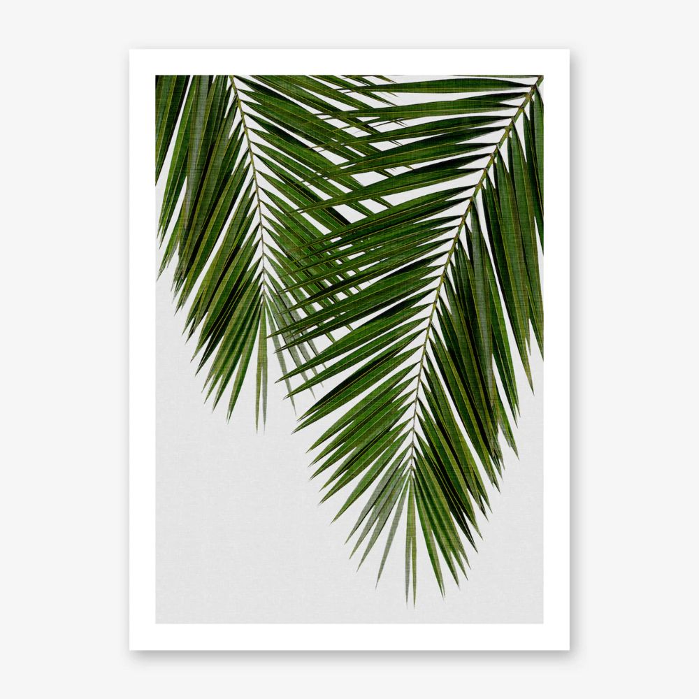 Palm Leaf Ii Art Print | Framed Art Prints, Art Prints For 2018 Palm Leaves Wall Art (Gallery 20 of 20)