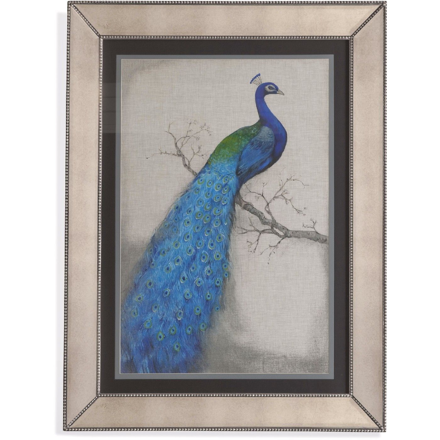 Peacock Blue I Traditional Framed Art 9900 177aec Throughout Most Up To Date Wall Framed Art Prints (View 17 of 20)
