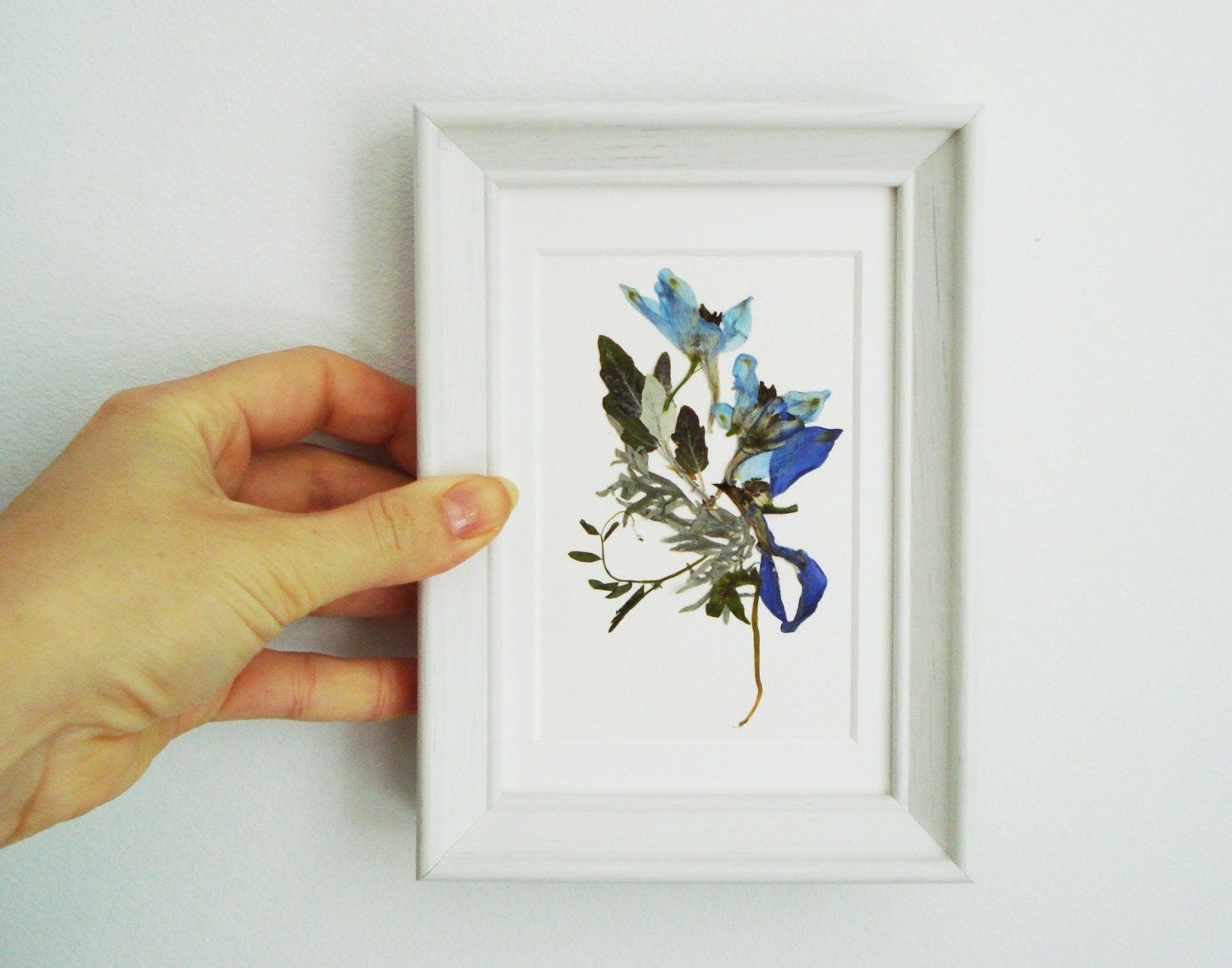 Pressed Flowers Framed Dried Flowers Framed Art Pressed With Regard To Newest Flower Framed Art Prints (View 16 of 20)