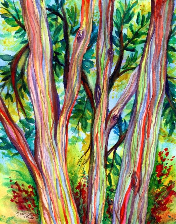 Rainbow Eucalyptus Tree, Hawaiian Trees, Kauai Art, Hawaii With Regard To Most Recently Released Hawaii Wall Art (Gallery 19 of 20)