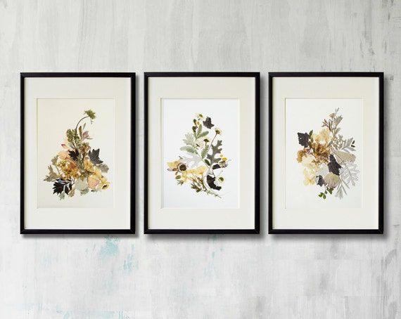 Set Of 3 Framed Prints Plant Art Contemporary Art Dry Flower Pertaining To Best And Newest Flower Framed Art Prints (View 8 of 20)