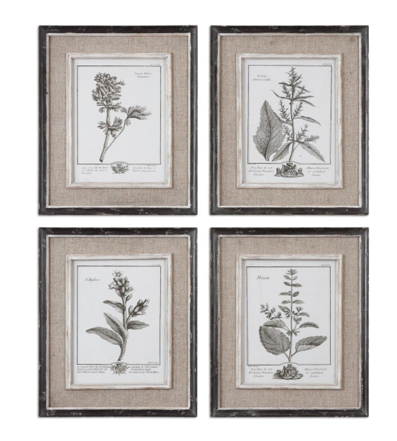 Set Of 4 Framed Gray Botanical Flower Study Prints Wall Inside Best And Newest Colorful Framed Art Prints (View 1 of 20)