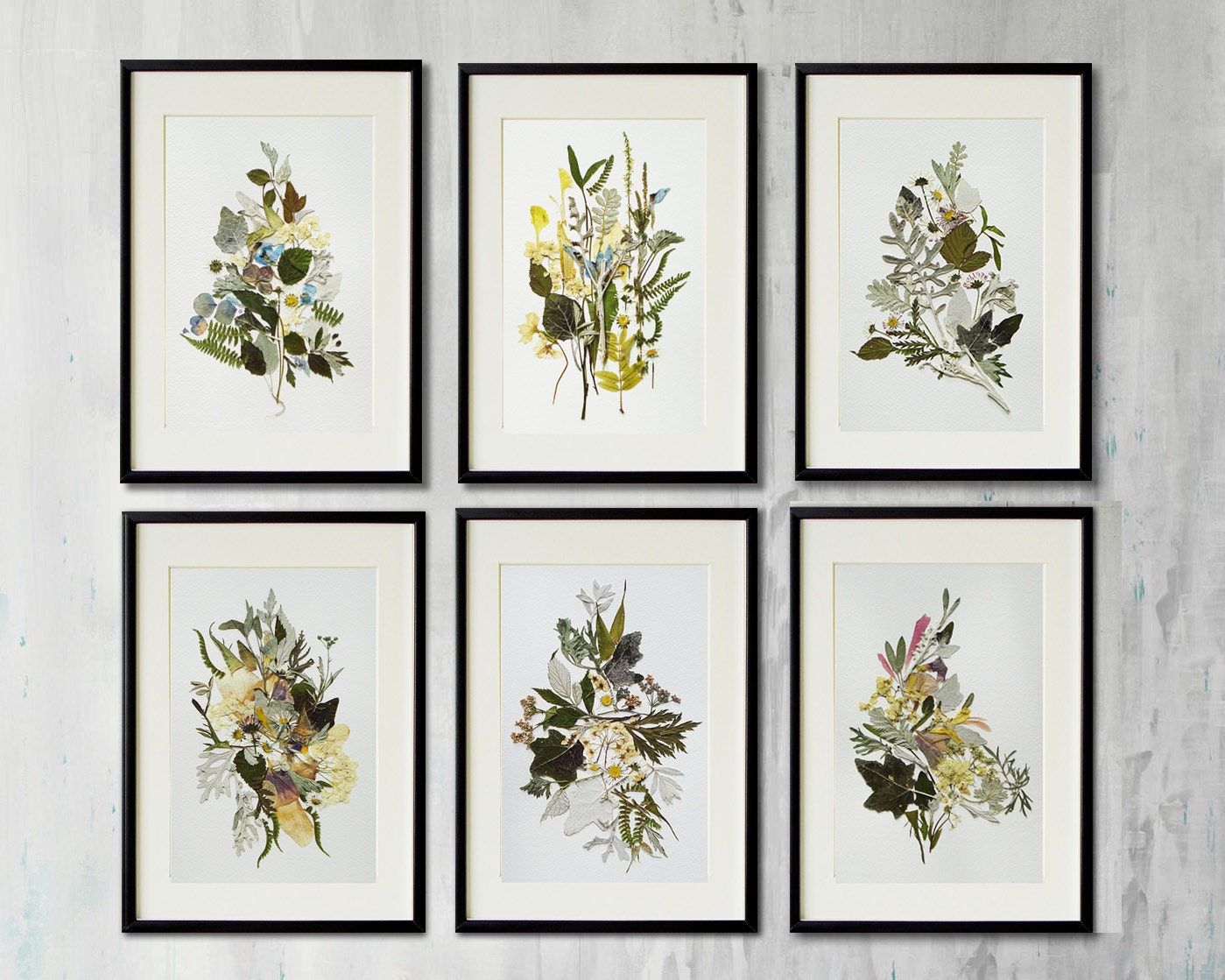 Set Of 6 Botanical Prints Artworks Collection Contemporary Regarding Most Up To Date Flower Framed Art Prints (View 4 of 20)