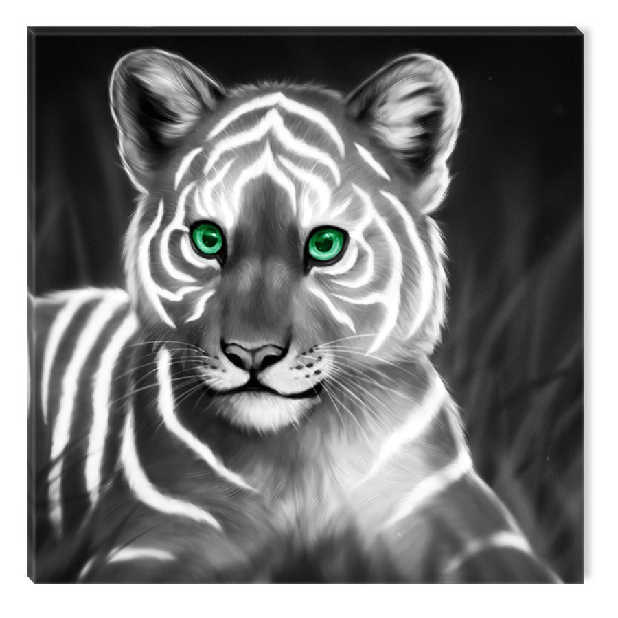 Startonight Canvas Wall Art Black And White Abstract Tiger With Regard To 2017 Tiger Wall Art (View 14 of 20)