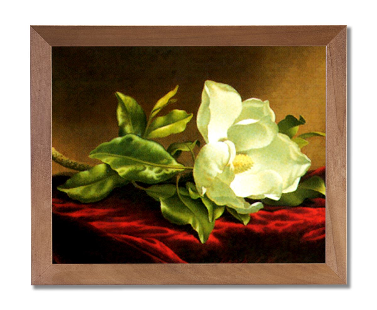 White Magnolia Floral Flower Contemporary Wall Picture In 2018 Sunshine Framed Art Prints (View 15 of 20)