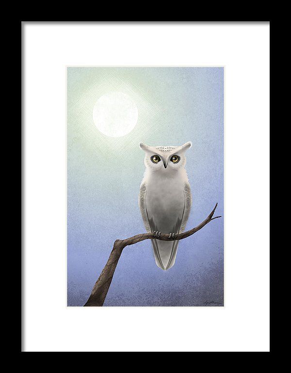 White Owl Framed Printapril Moen | White Owl, Framed With Best And Newest The Owl Framed Art Prints (View 7 of 20)