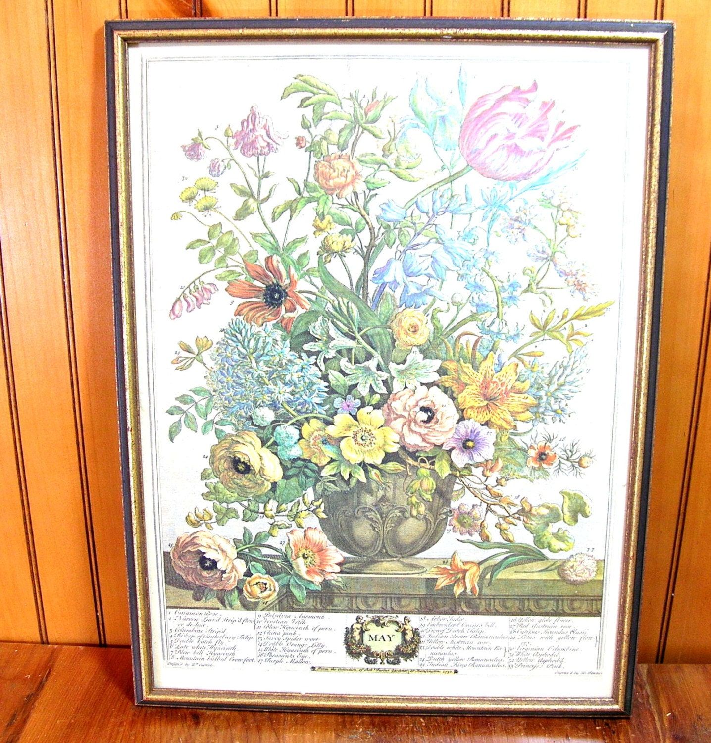 Williamsburg Flower Of The Month Print May Framed Vintage In Newest Flower Framed Art Prints (View 1 of 20)