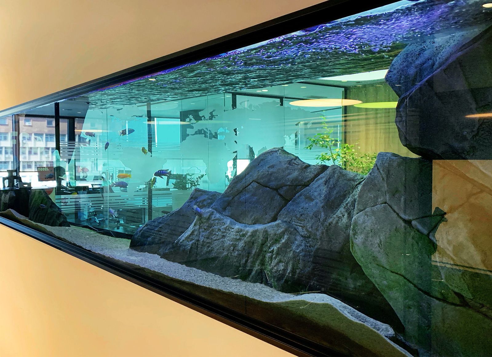 3d Aquarium Backgrounds & Fish Tank Decorations – Aquadecor In Most Recently Released Aquarium Wall Art (View 8 of 20)