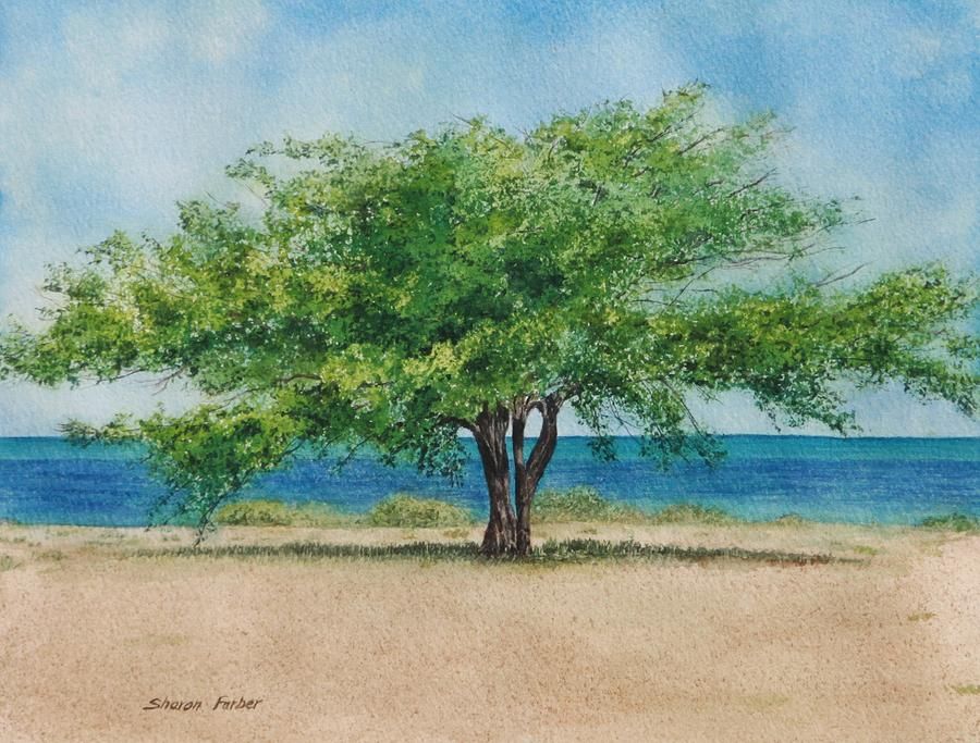 Acacia Tree Paintingsharon Farber Regarding Current Acacia Tree Wall Art (View 18 of 20)