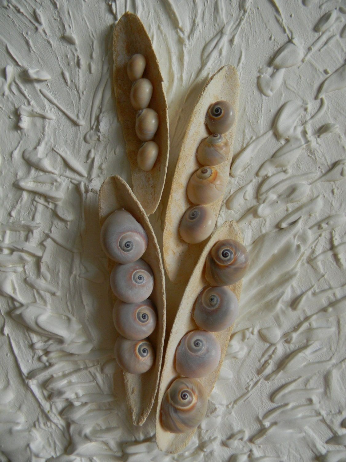 Beach Wall Art.sea Shells Home Decor (View 4 of 20)