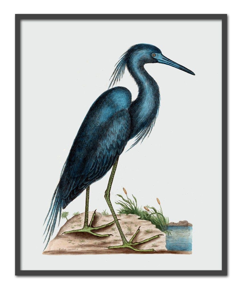 Blue Heron Bird Print Large Wall Art Decor Living Room Decor | Etsy With Latest Heron Bird Wall Art (View 4 of 20)