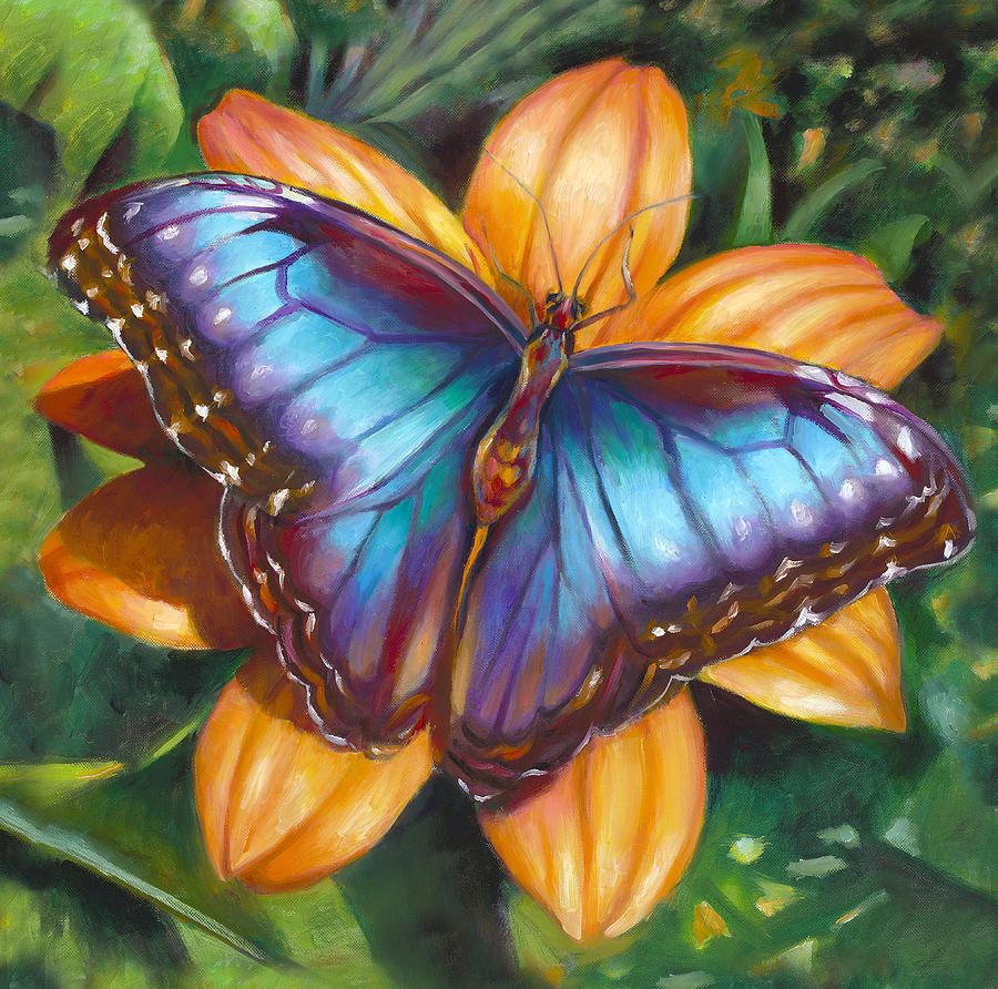 Blue Morpho Butterfly Paintingnancy Tilles Throughout Most Recent Blue Morpho Wall Art (View 16 of 20)