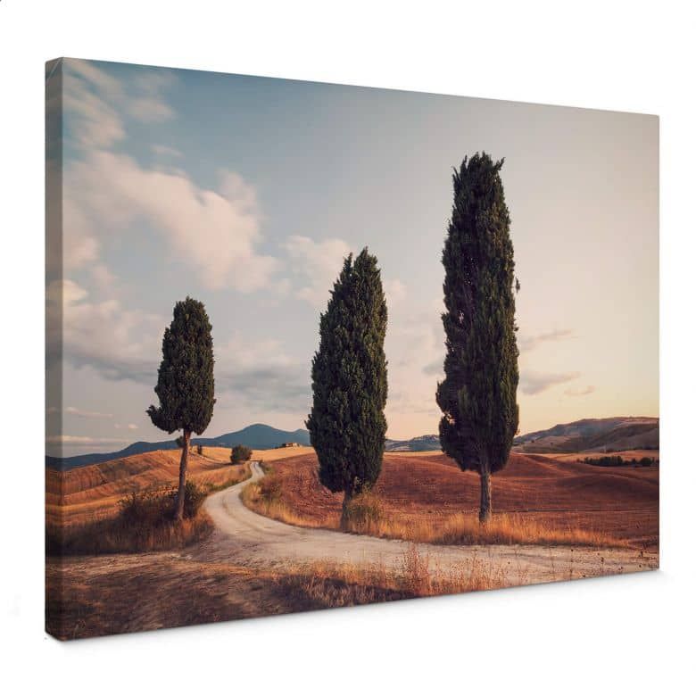 Canvas Print Colombo – Cypress Trees | Wall Art Within Newest Cypress Wall Art (View 3 of 20)