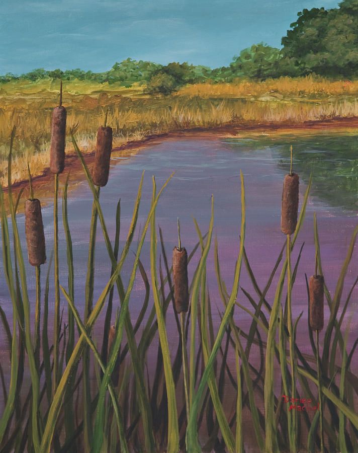Cattails Paintingdarice Machel Mcguire For Most Recently Released Cattails Wall Art (View 7 of 20)