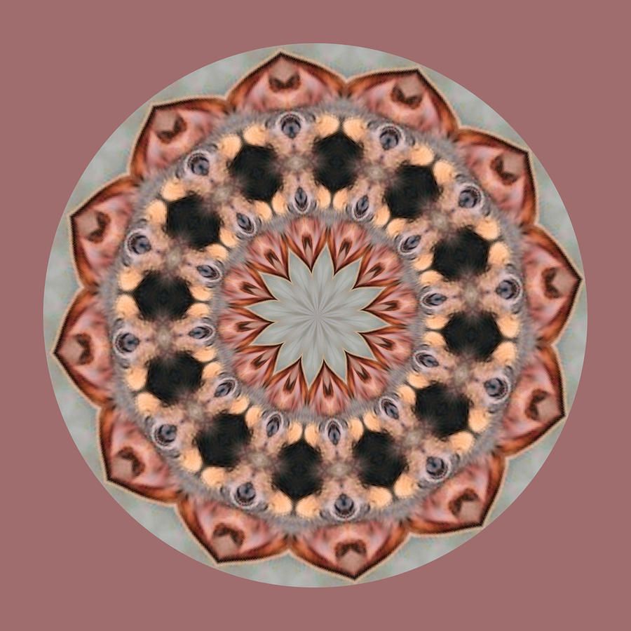 Chihuahua Mandala Digital Arttailspin Artworks In Newest Tail Spin Wall Art (View 9 of 20)