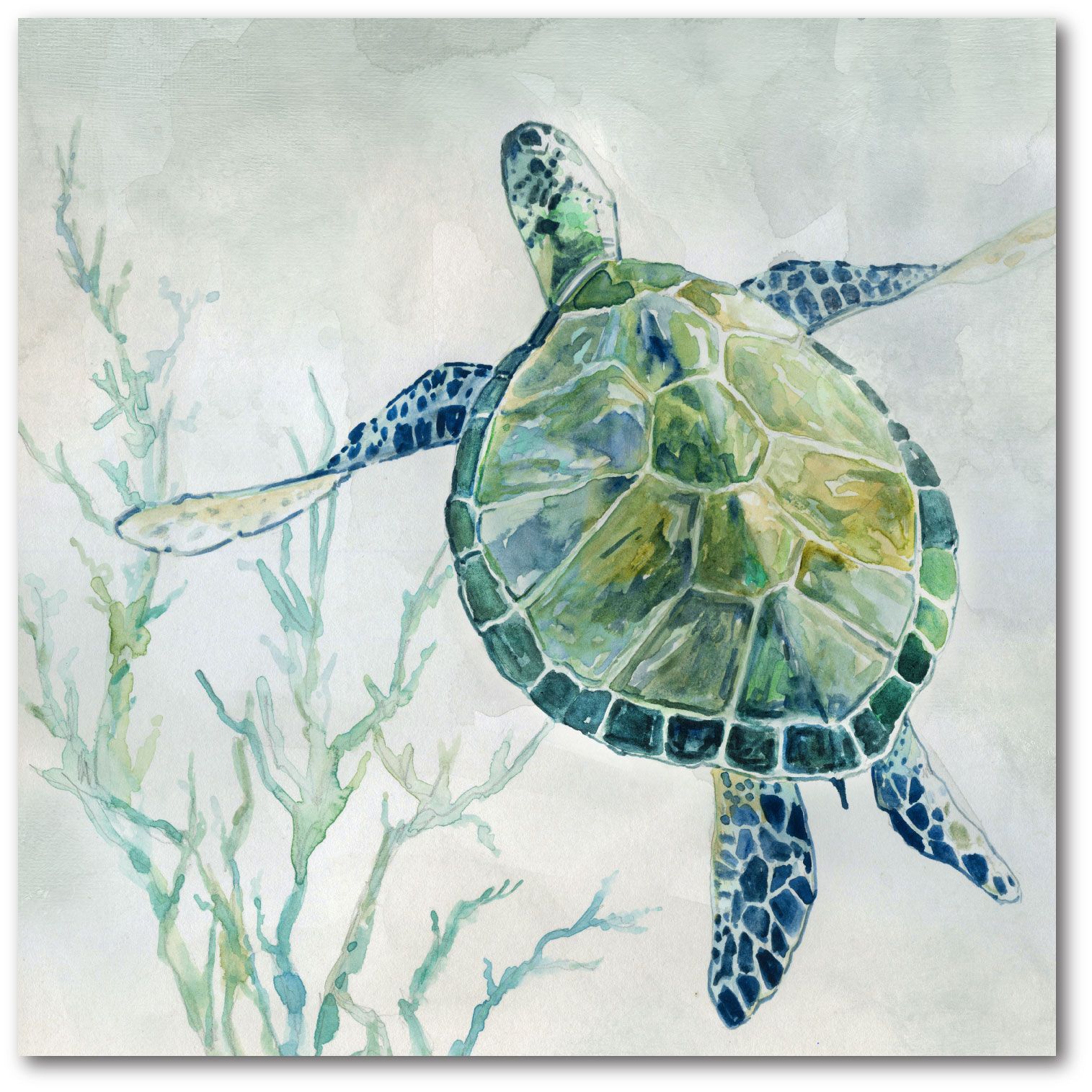 Courtside Market Sea Turtle Ii 16"x16" Gallery Wrapped Canvas Wall Art For Most Current Sea Wall Art (View 15 of 20)