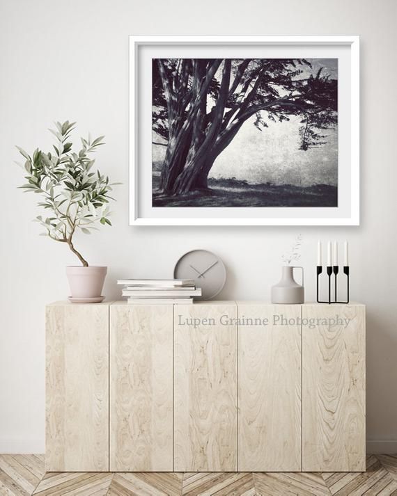Cypress Tree Print, Black And White Tree Wall Art, California Landscape For Most Up To Date Cypress Wall Art (Gallery 19 of 20)